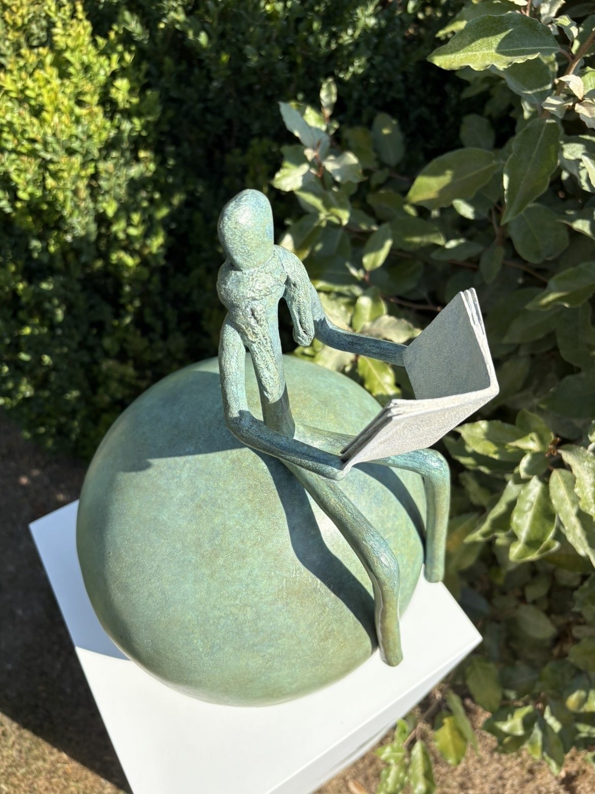 Le lecteur vu de dessus, détail du livre et de la patine